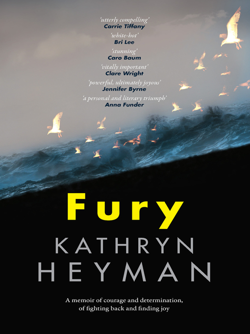 Cover image for Fury